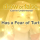 Image for article titled On a Very Special Episode of Drew, Carrie Underwood Reveals Her Fear of Turtles